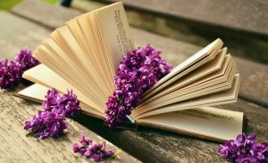 book-759873__340